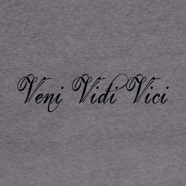 Veni Vidi Vici Minimalist by TheCultureShack